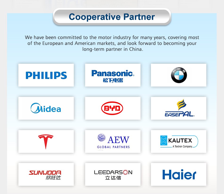 Electric High Torque Small 24v Brushless Dc Motor  partners