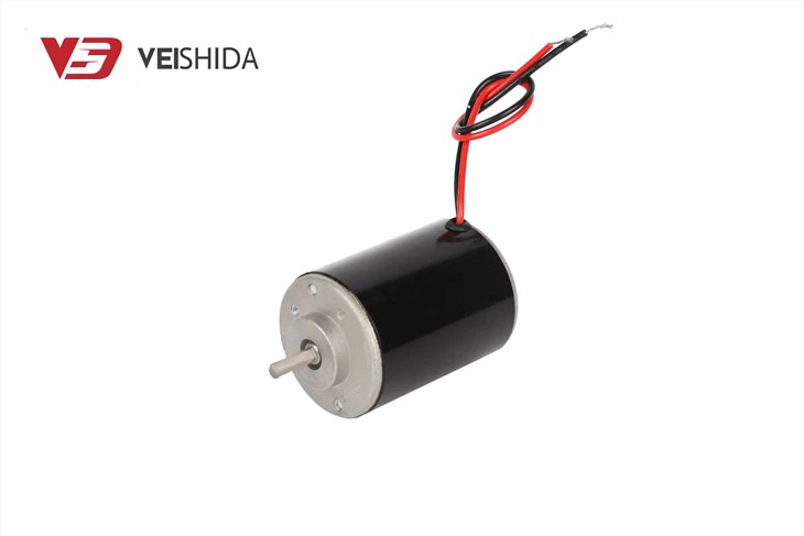 12V 3000 Rpm Brushed DC Motor