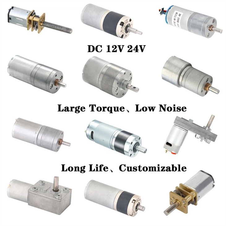 12 Volt DC Planetary Geared Motor