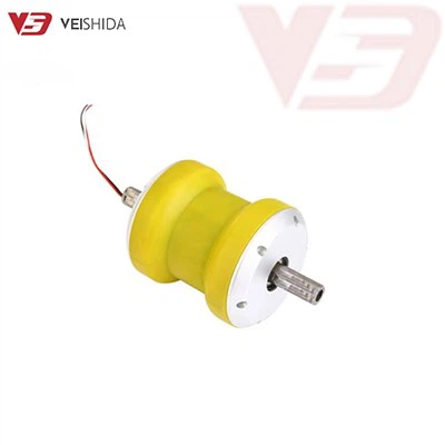 DC Hub motor bez četkica